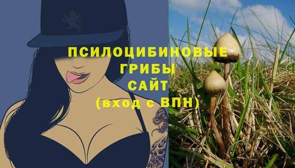 Альфа ПВП Инта