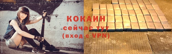 Альфа ПВП Инта