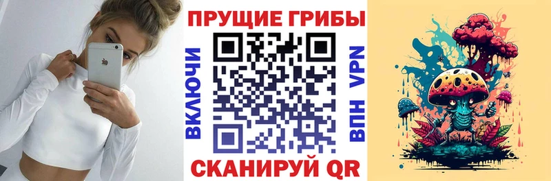 Псилоцибиновые грибы Cubensis  хочу наркоту  Калачинск 